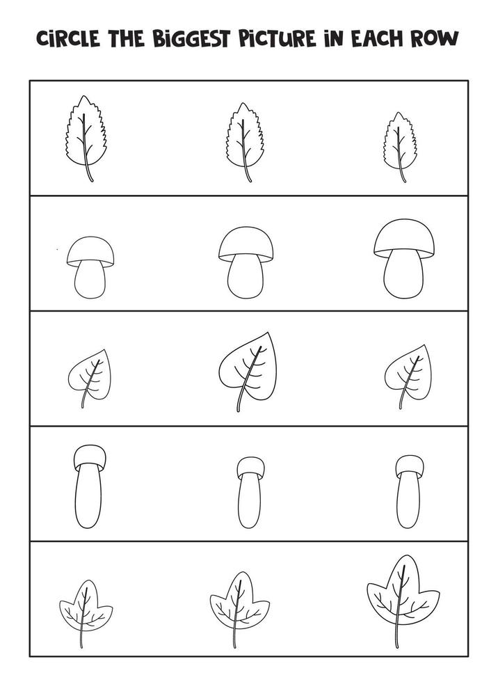 Find the biggest autumn picture in each row. vector
