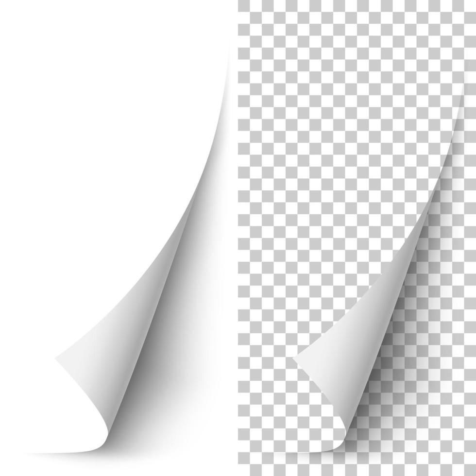 White vertical paper corner rolled up vector