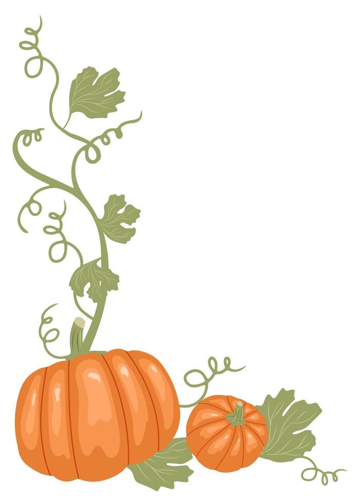 Pumpkin border with stems and leaves. Thanksgiving design vector