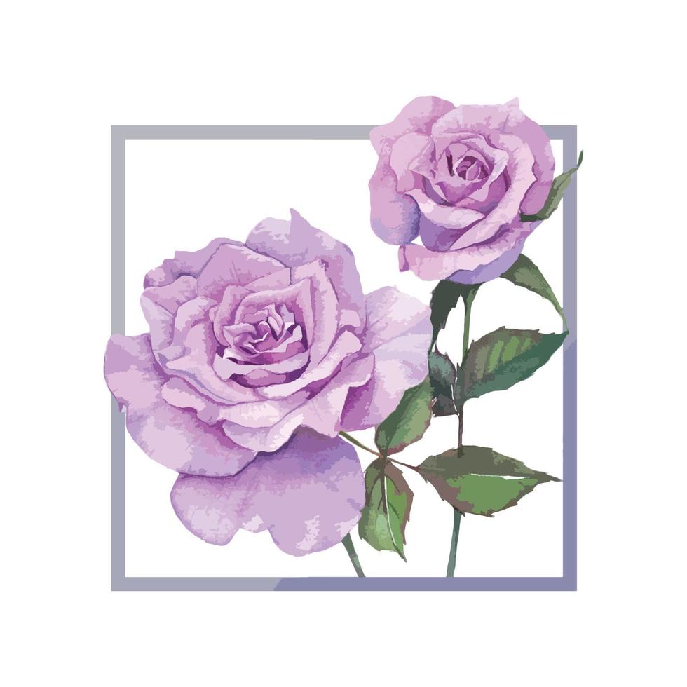 A Frame of Purple rose Watercolor Vector