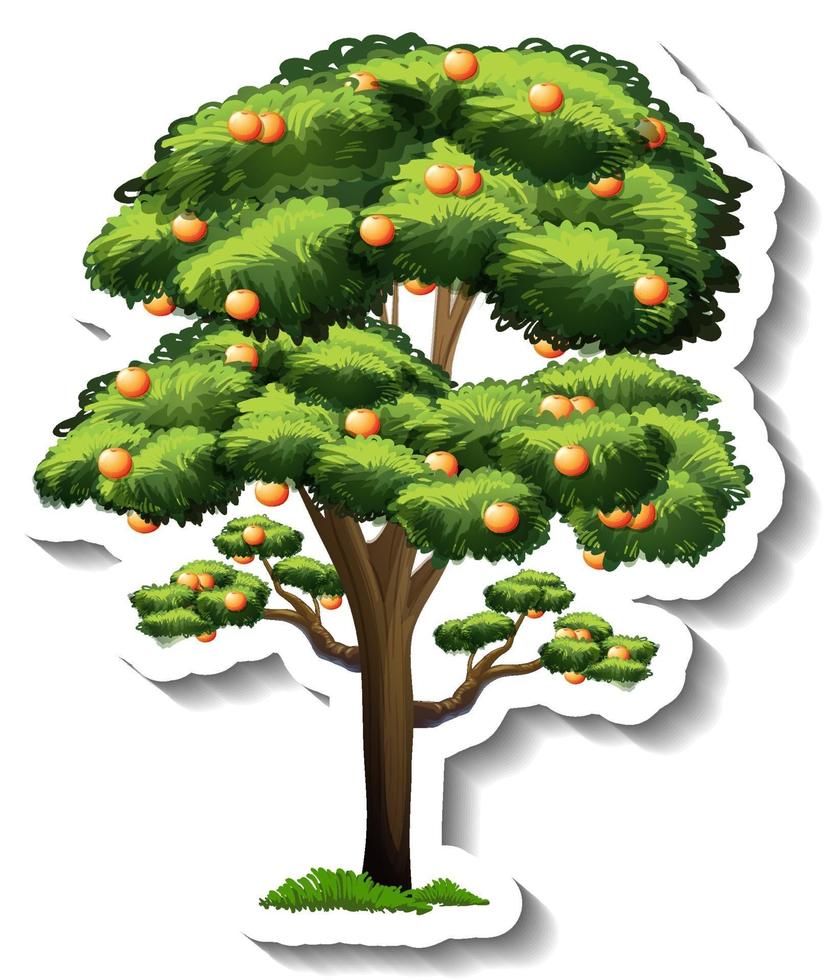 Orange tree sticker on white background vector