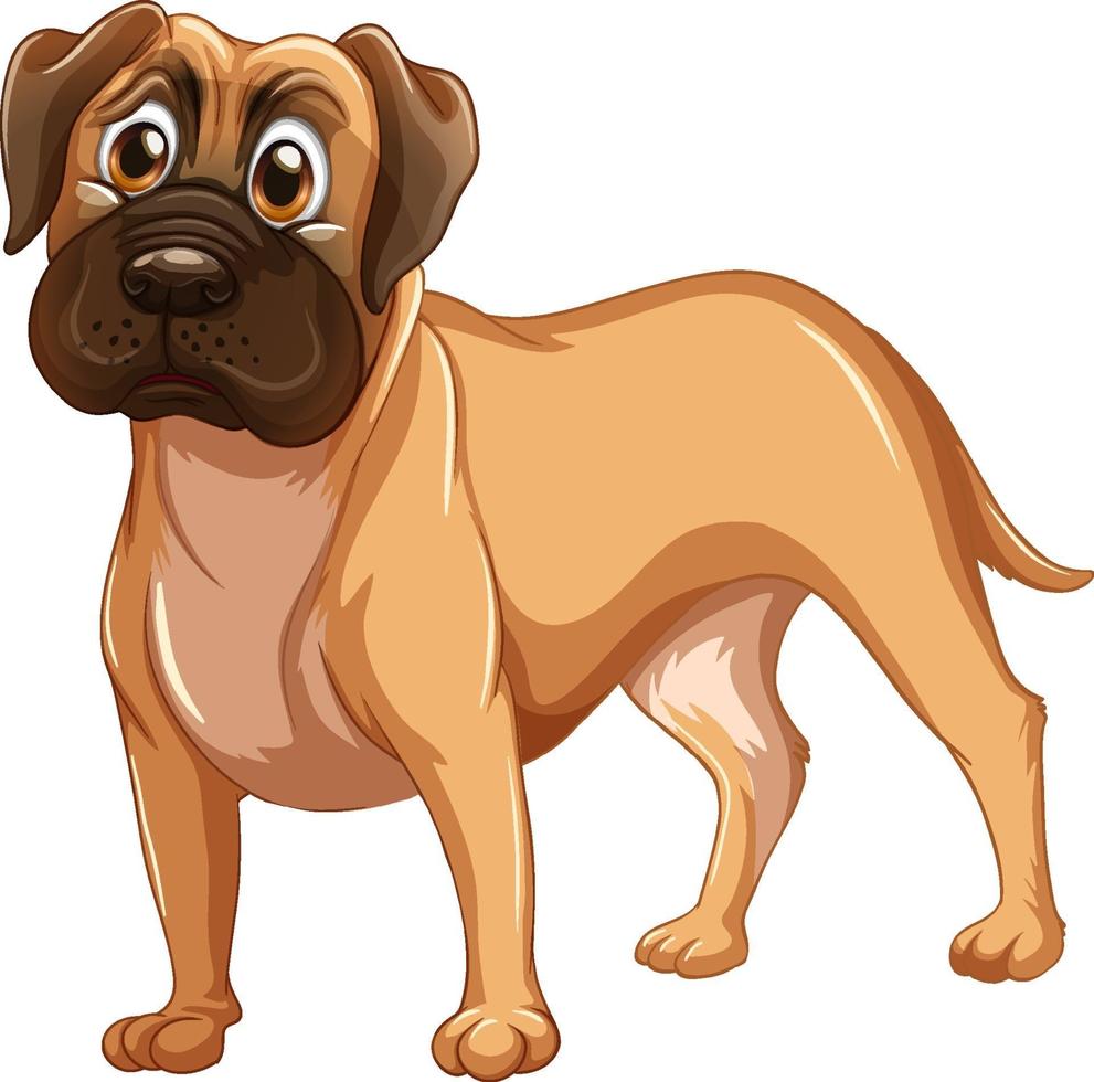 Boxer dog cartoon on white background vector