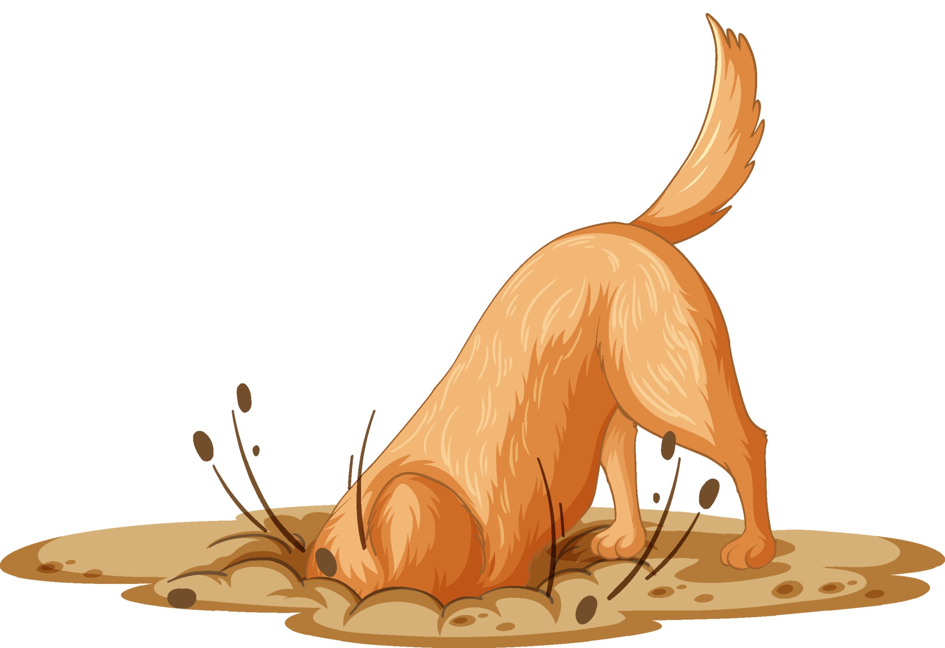 Dog Digging Dirt On White Background 3362757 Vector Art At Vecteezy