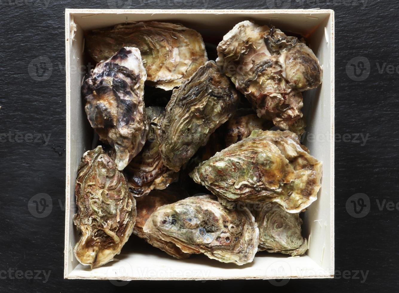 Wooden basket of fresh oysters photo