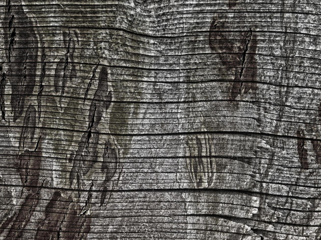 Texture De Bois De Chêne Recouvert De Vernis Foncé Banque D'Images