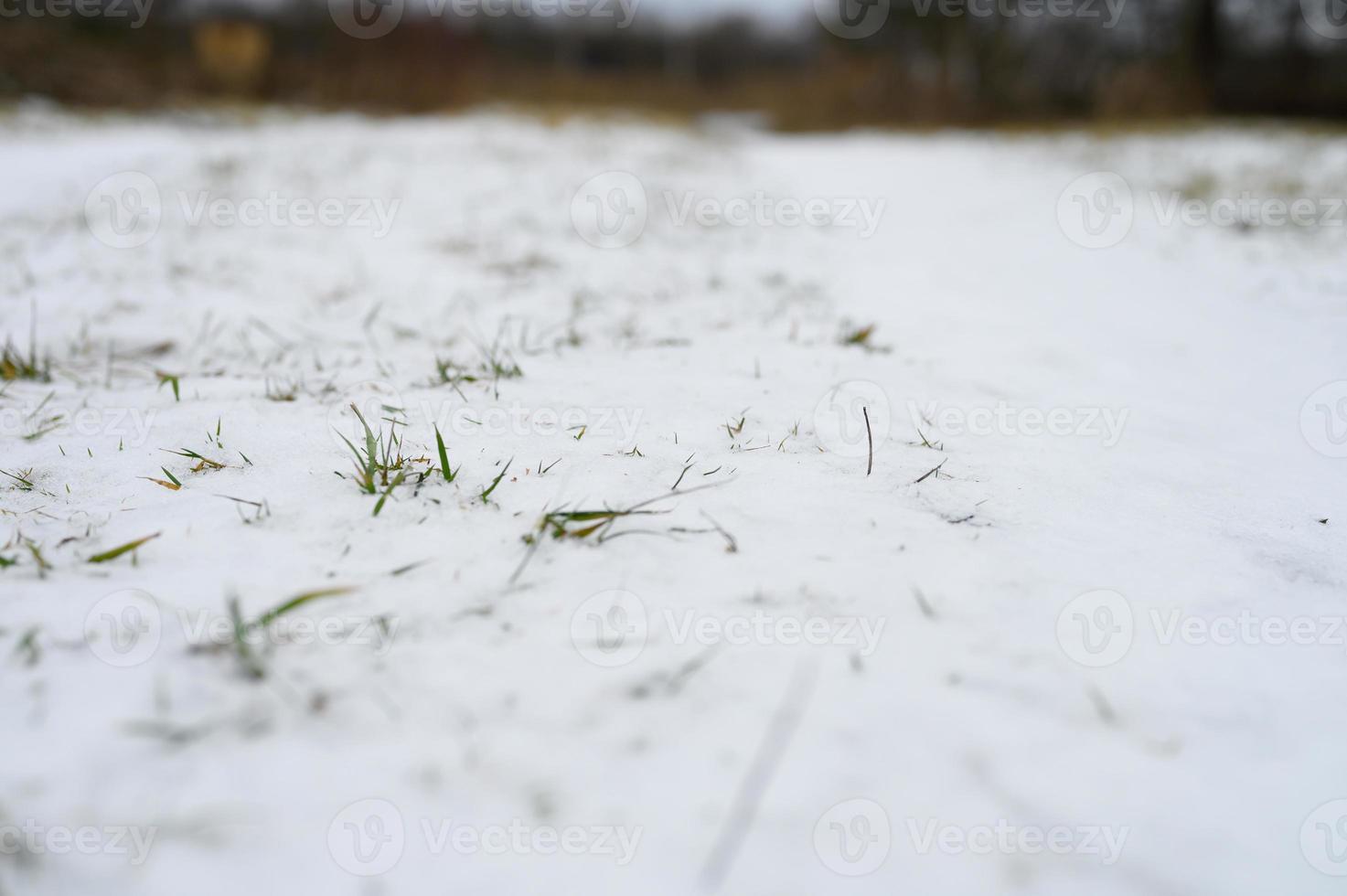 Little snow winter small photo