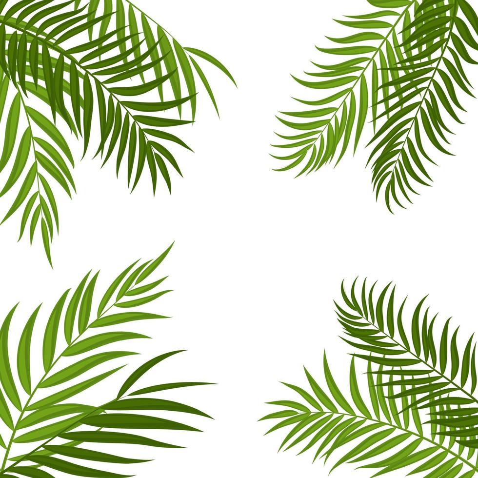 Beautiful Palm Tree Leaf  Silhouette Background Vector Illustration