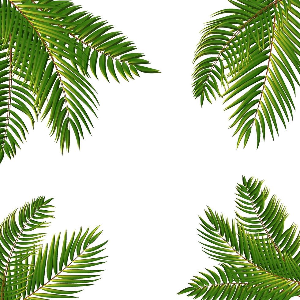 Beautiful Palm Tree Leaf  Silhouette Background Vector Illustration