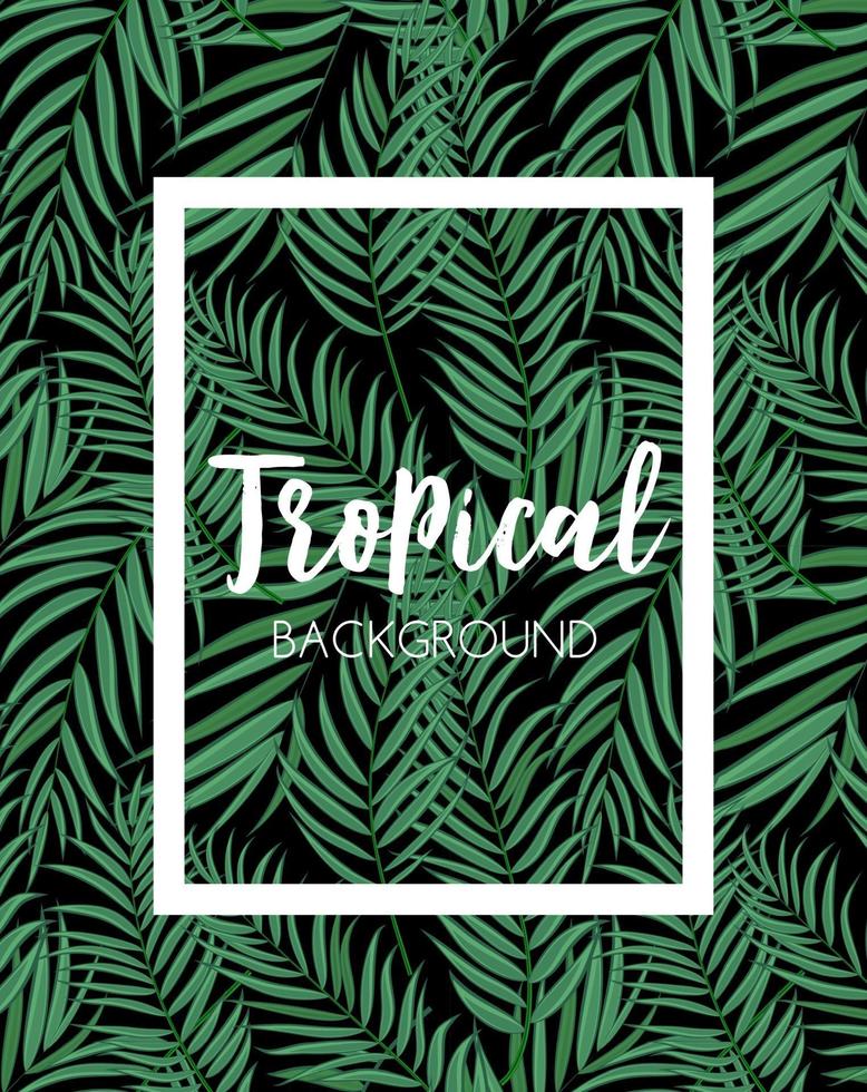 Beautiful Palm Tree Leaf Tropical Silhouette Background vector