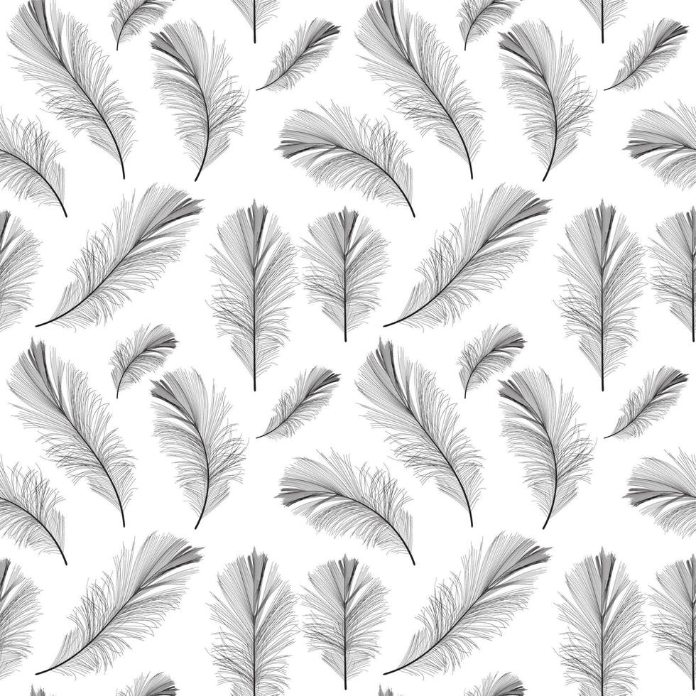 Bird Feather Hand Drawn Seamless Pattern Background vector