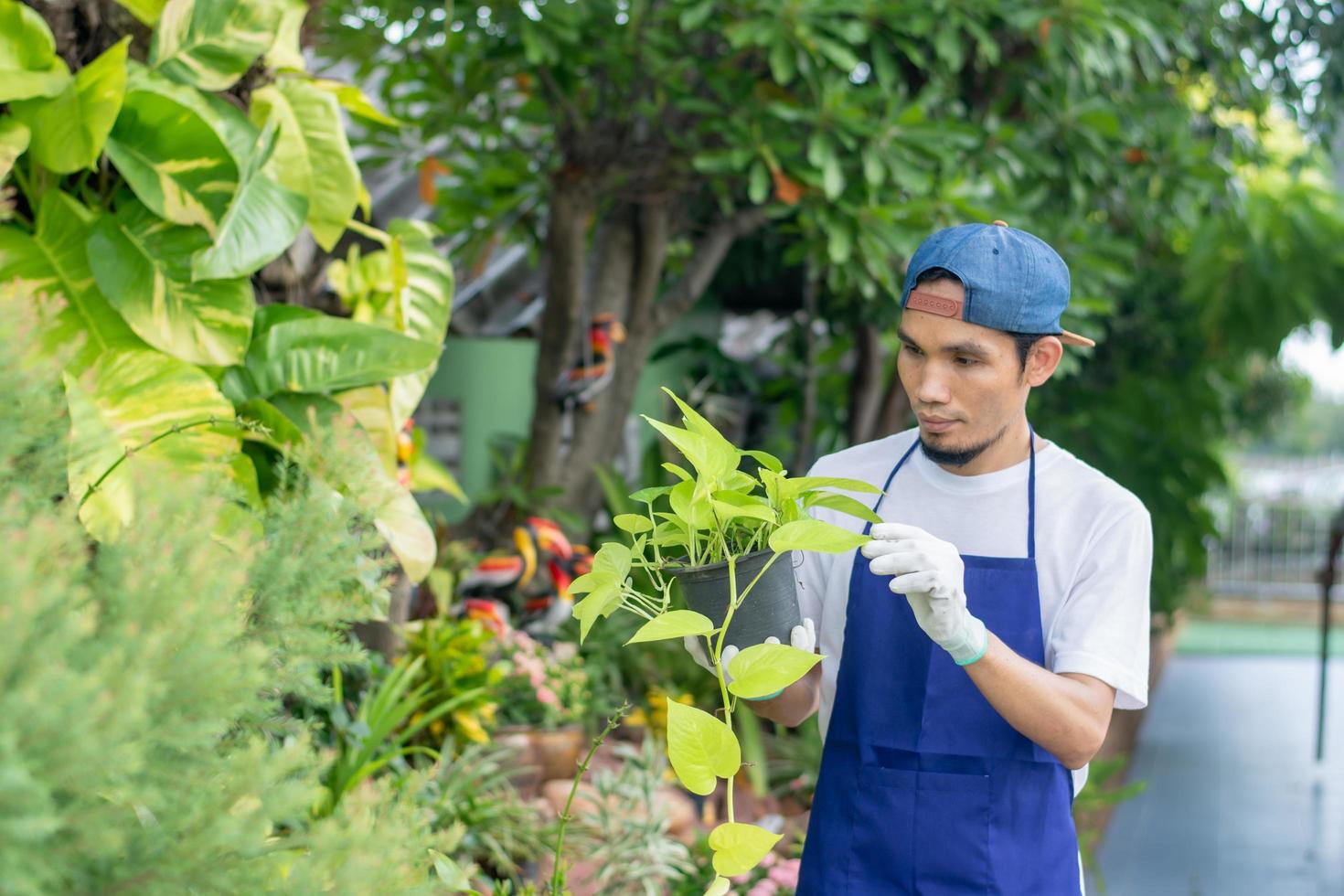 El hombre vende jardín de plantas en la tienda foto