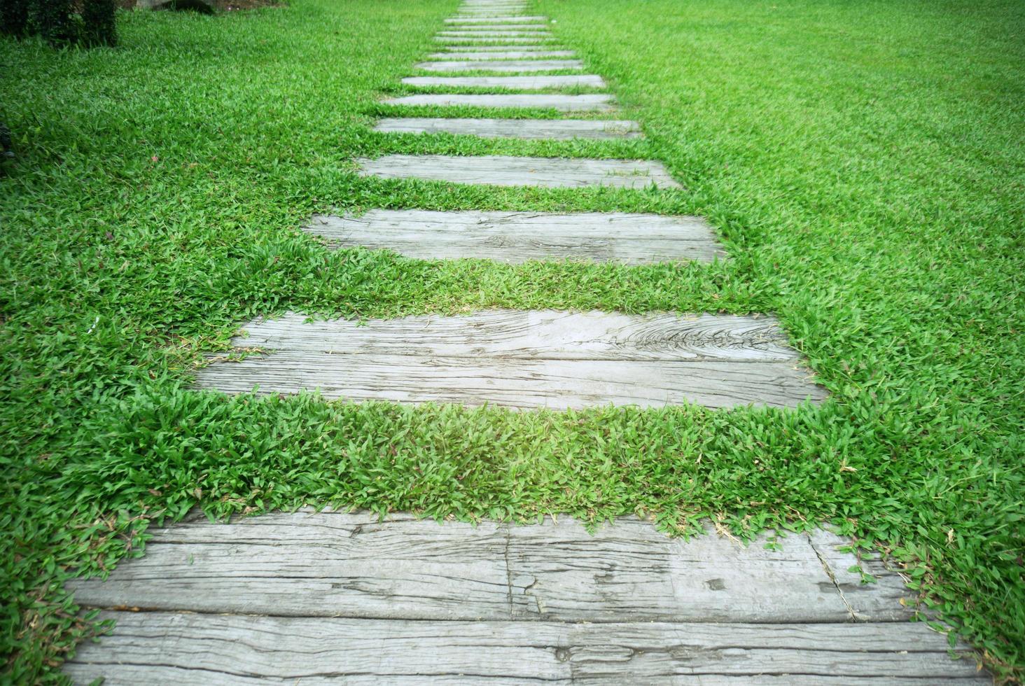 Stone Pathway in the park with green grass background. photo