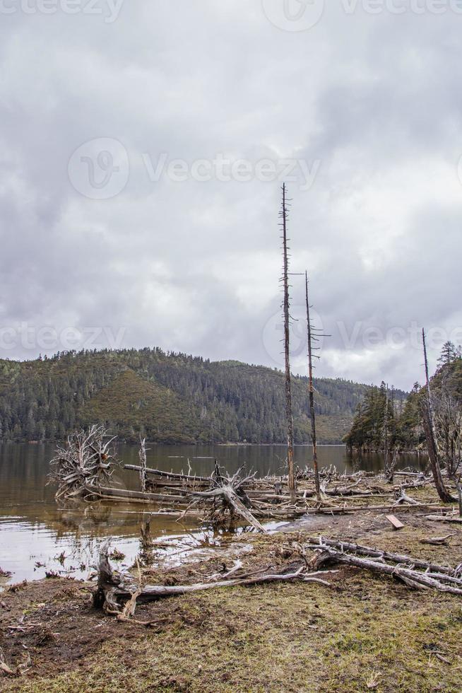 vista de la naturaleza del lago en el parque nacional pudacuo shangri la, yunnan china foto