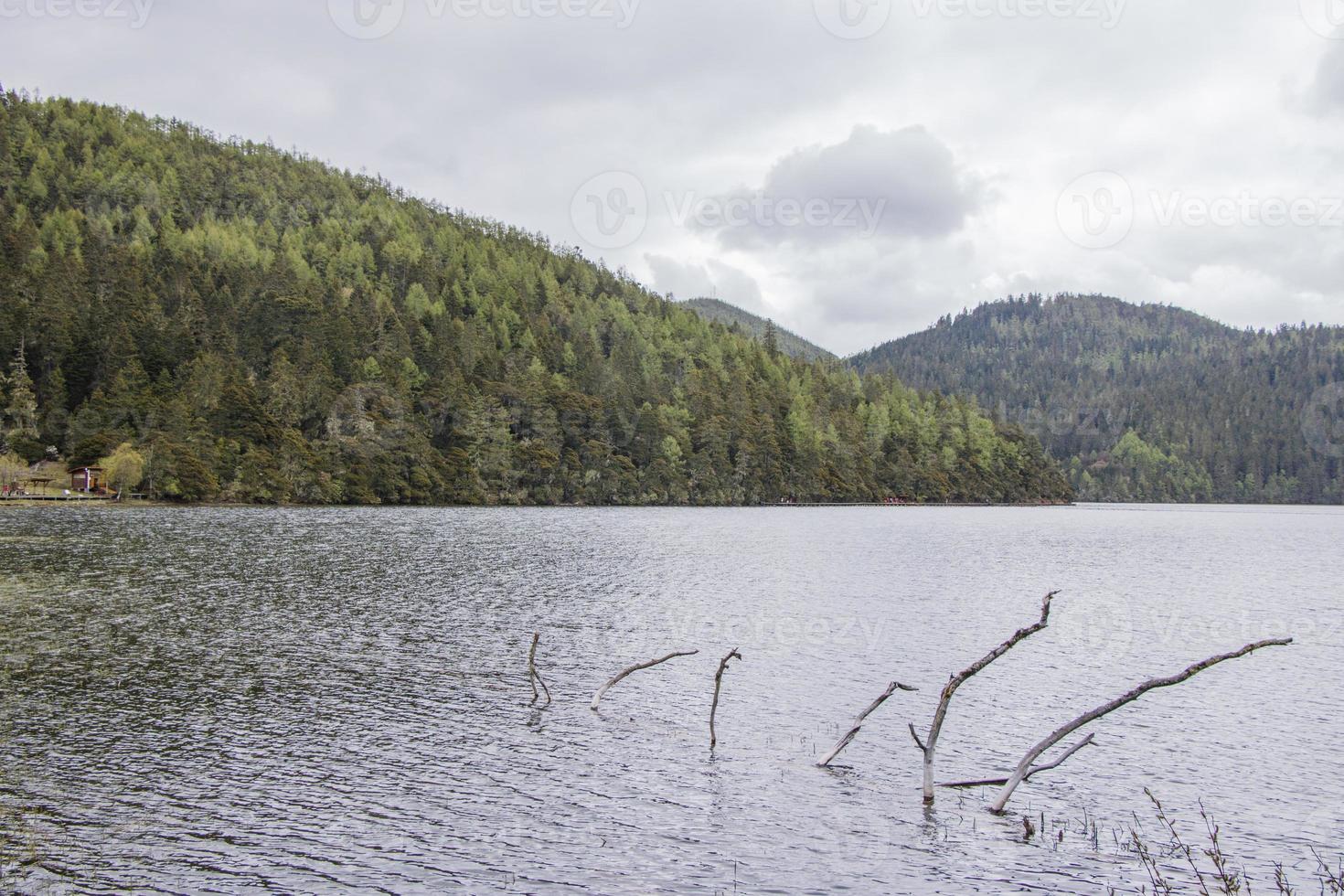 vista de la naturaleza del lago en el parque nacional pudacuo shangri la, yunnan china foto