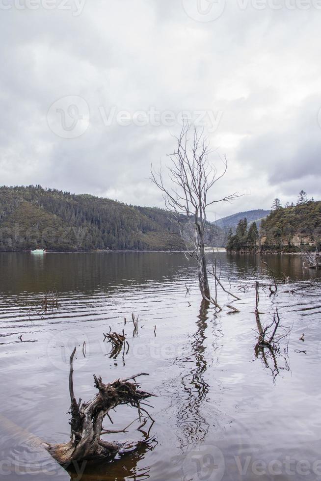 Lago en el parque nacional pudacuo en shangri la, provincia de yunnan, china foto