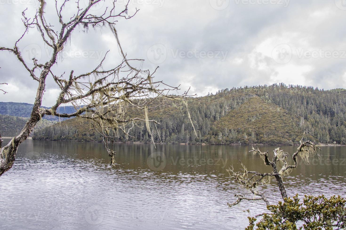 Lago en el parque nacional pudacuo en shangri la, provincia de yunnan, china foto