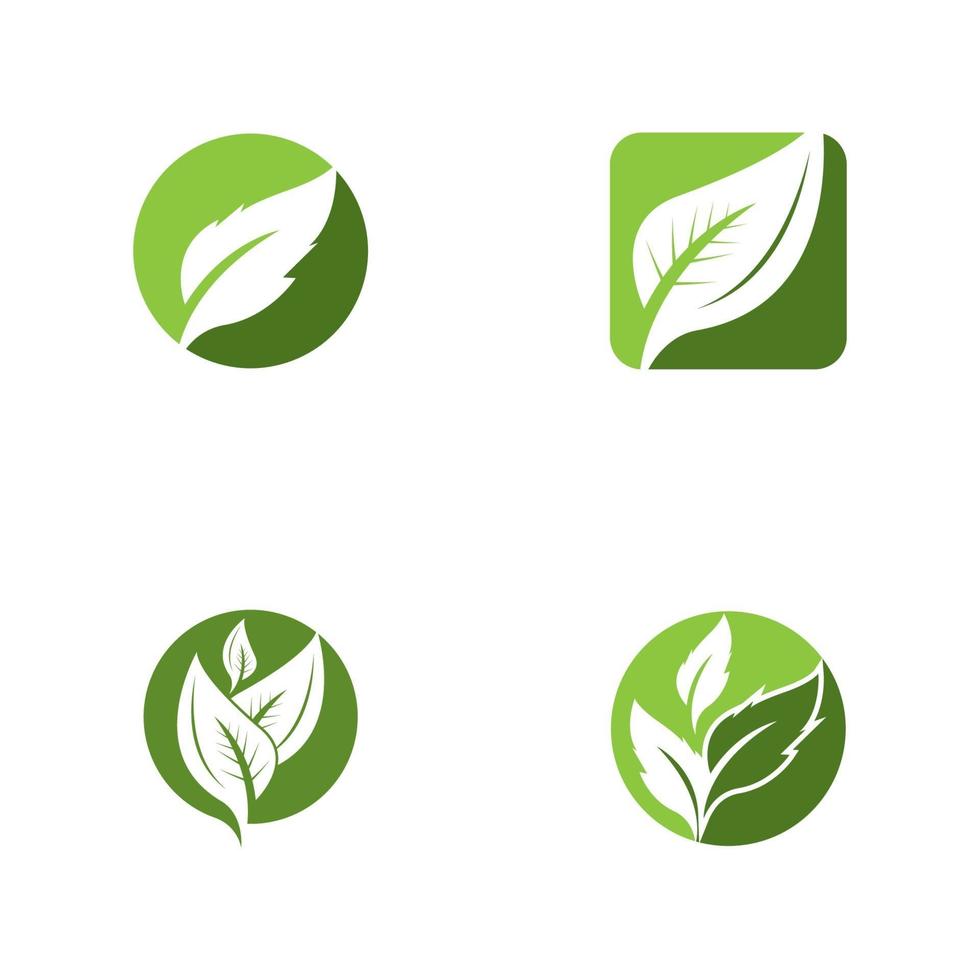 vector de plantilla de icono y símbolo de hoja de naturaleza