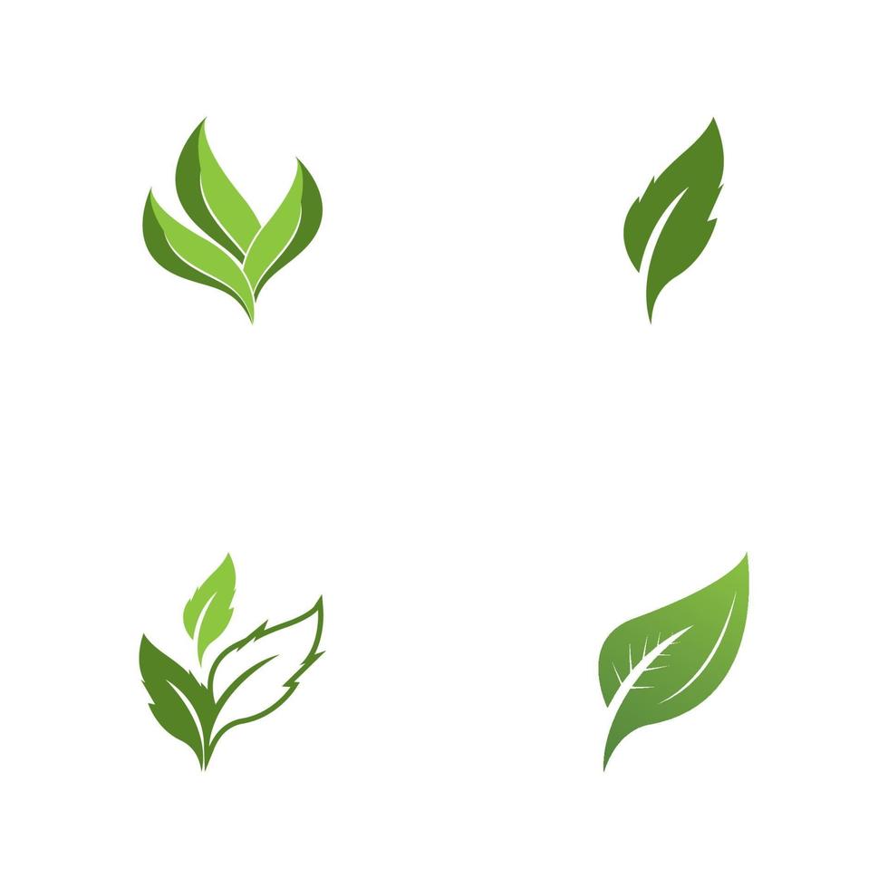 vector de plantilla de icono y símbolo de hoja de naturaleza