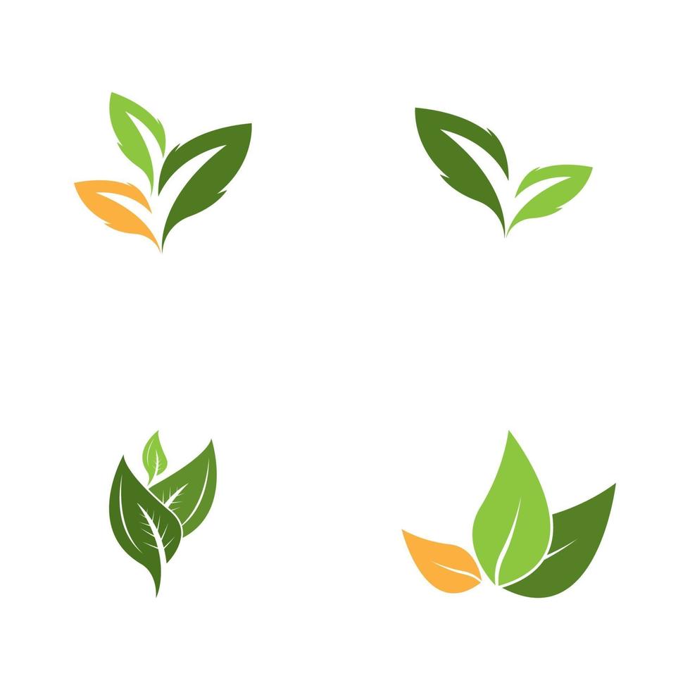 Nature leaf icon and symbol template vector