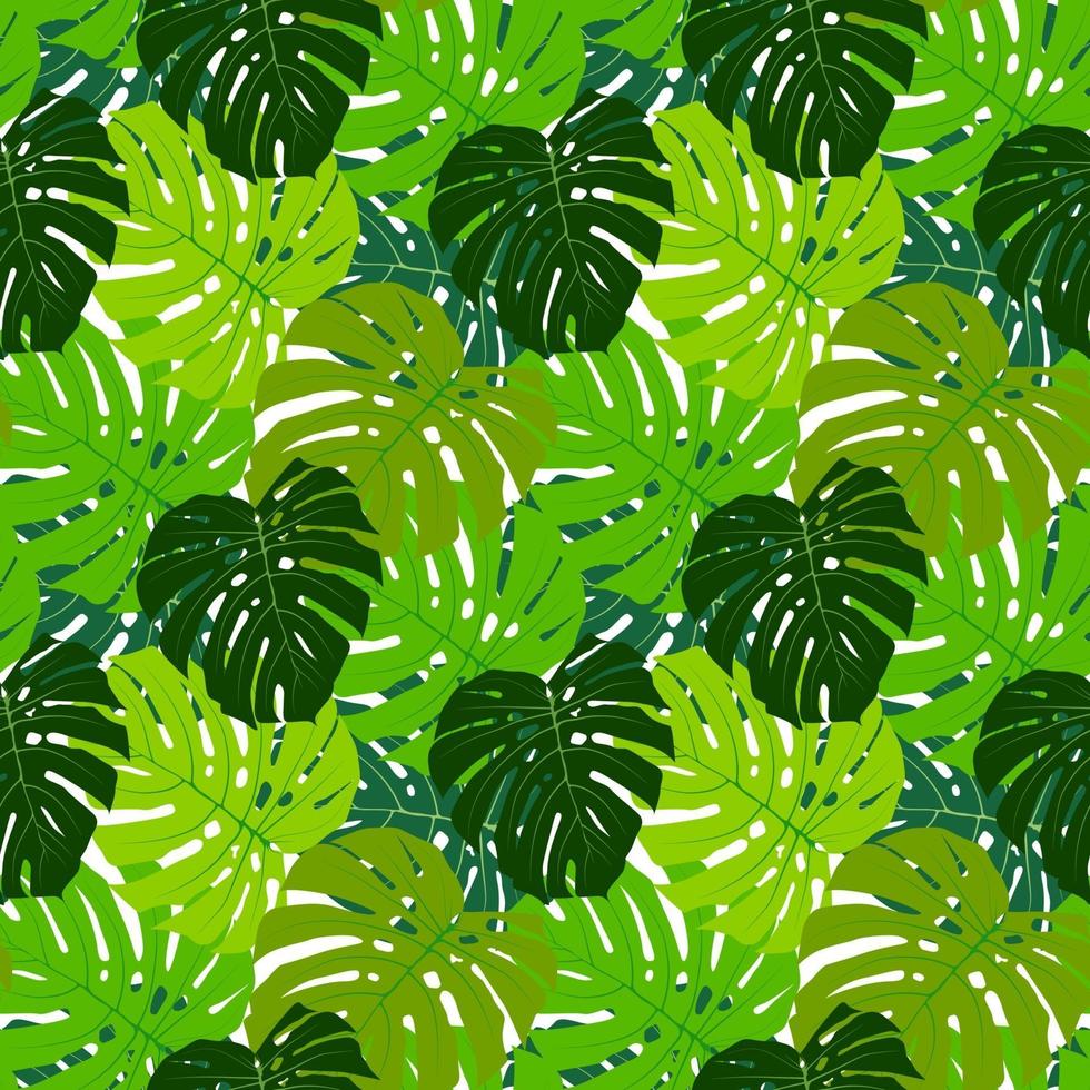 Palm Leaf Seamless Pattern Background Vector Illustration