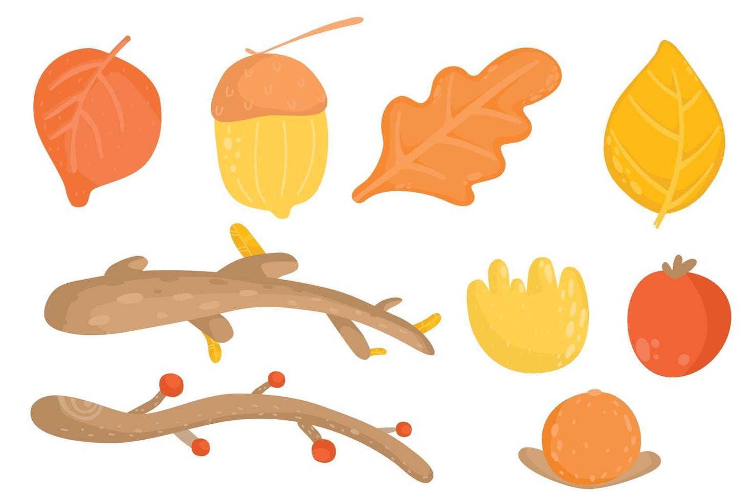 set of isolated autumn plant. Autumn leaves, branch, berry vector