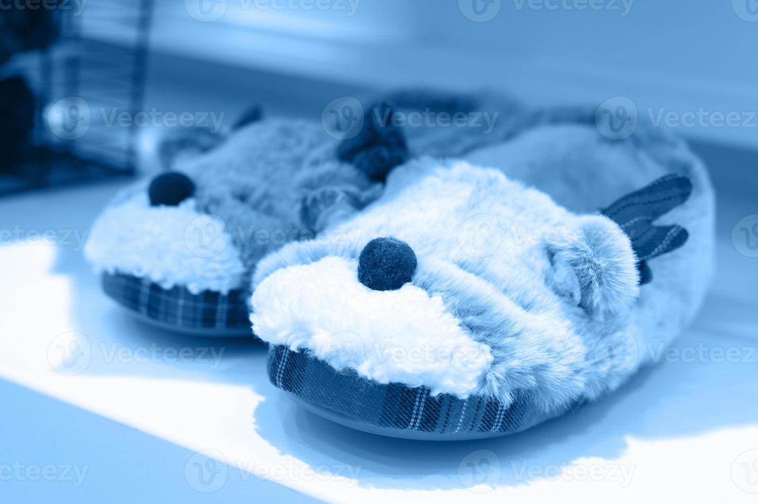 Christmas slipper sneaker photo