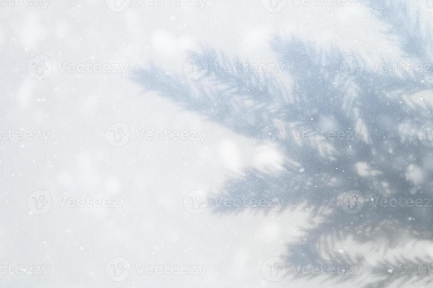 sombra de rama de árbol de navidad foto