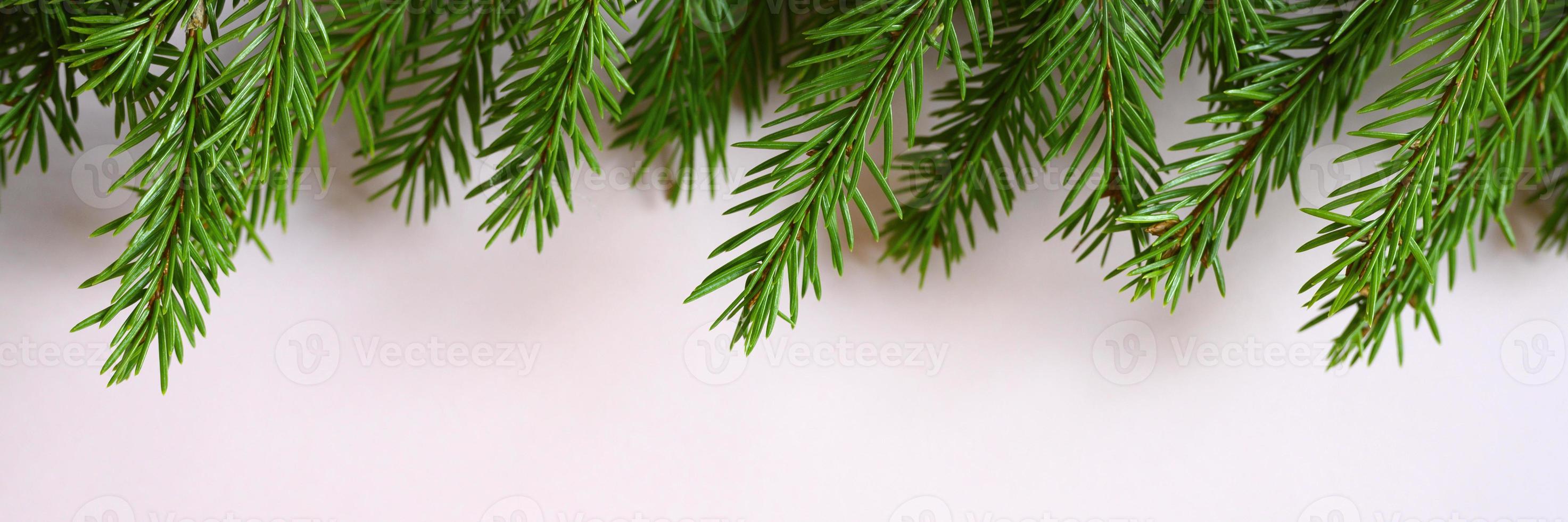 marco árbol de navidad brunch foto