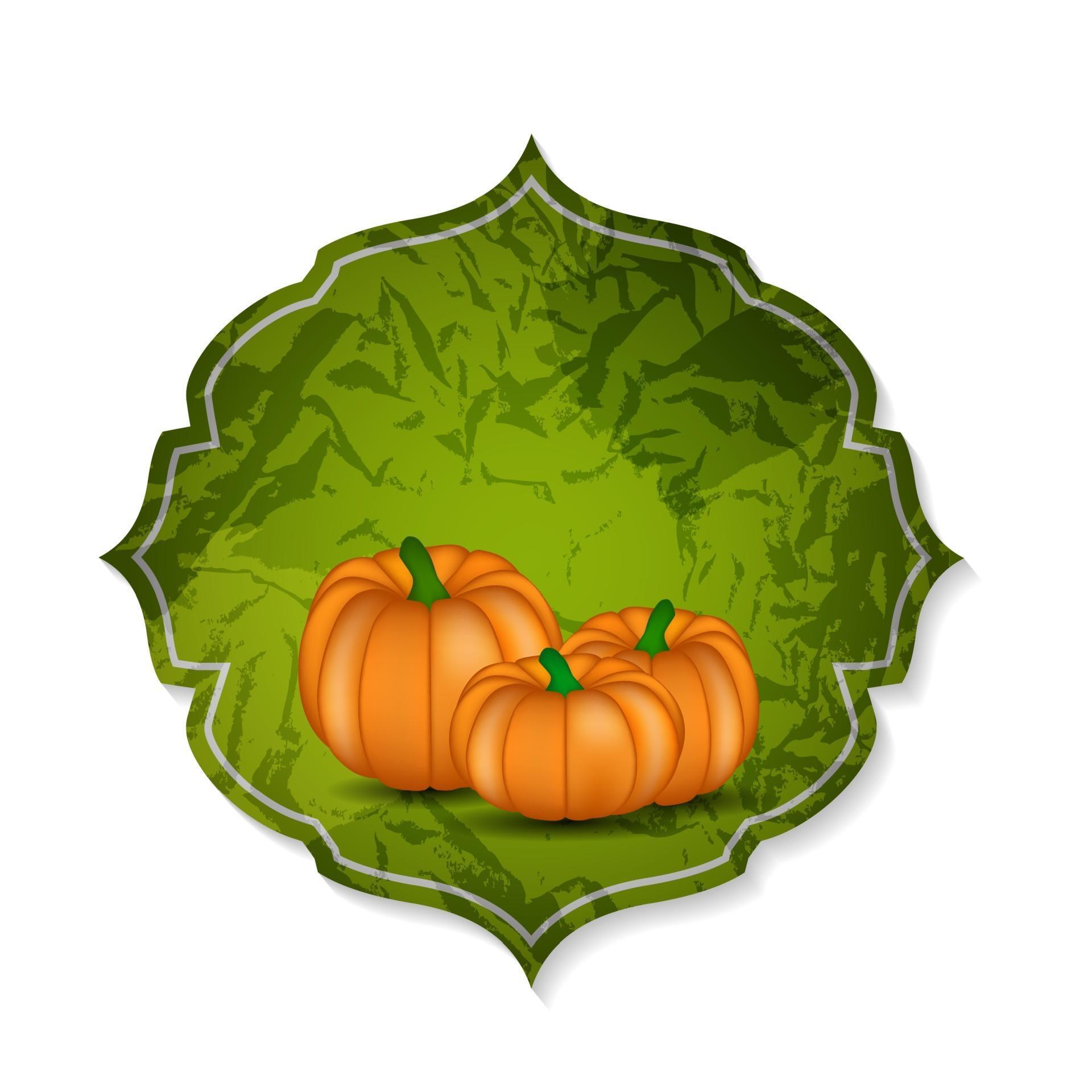 Orange Pumpkin Background Vector Illustration 3365732 Vector Art at