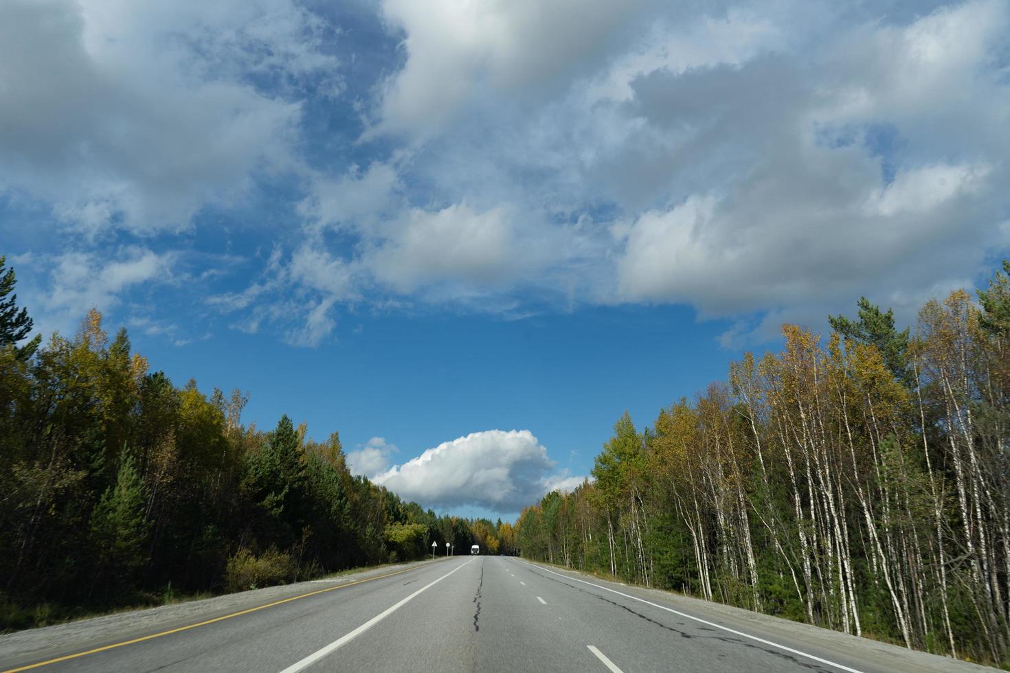 paisaje con una carretera con un bosque otoñal a los lados foto