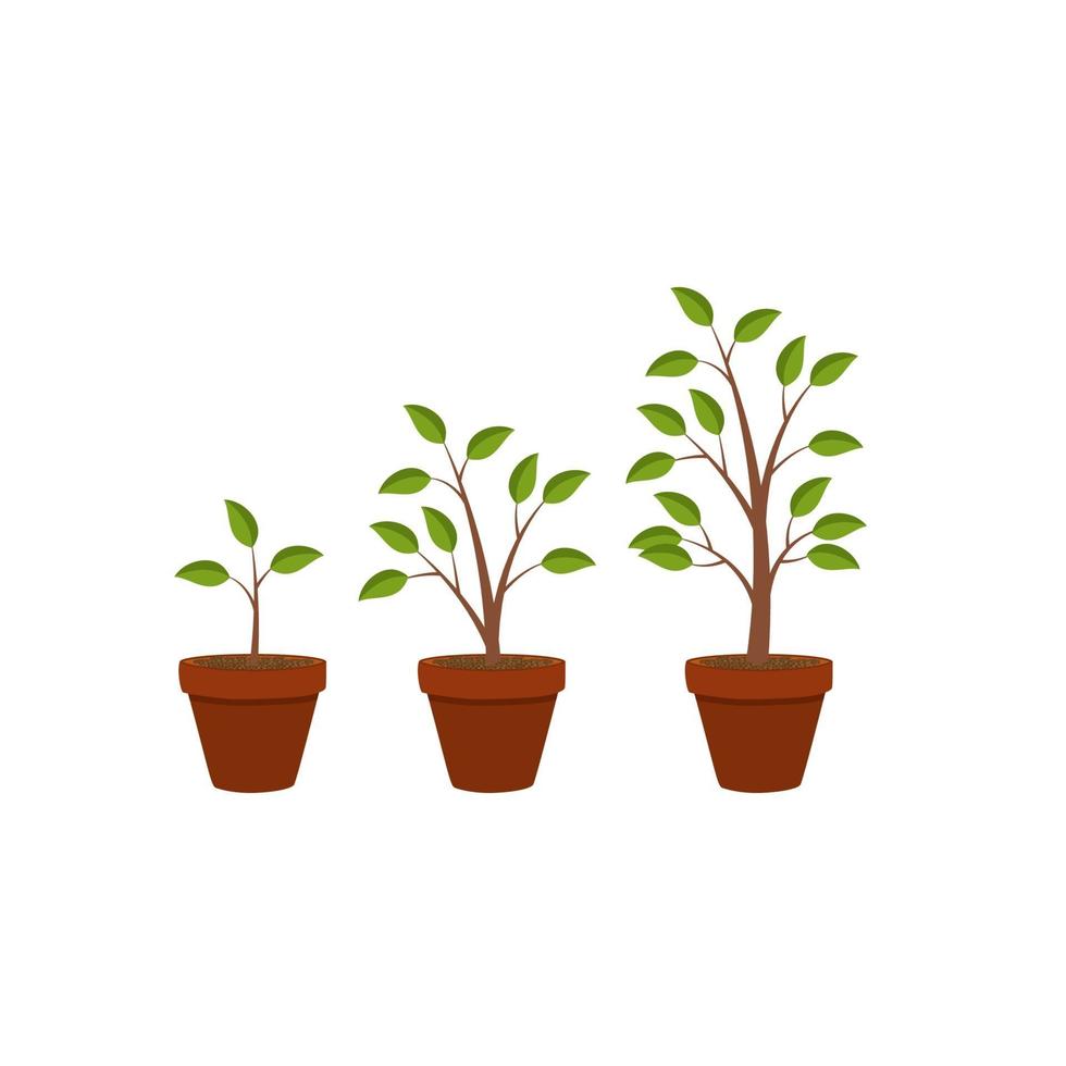 Fondo de diseño gráfico de crecimiento de plantas de naturaleza plana abstracta vector