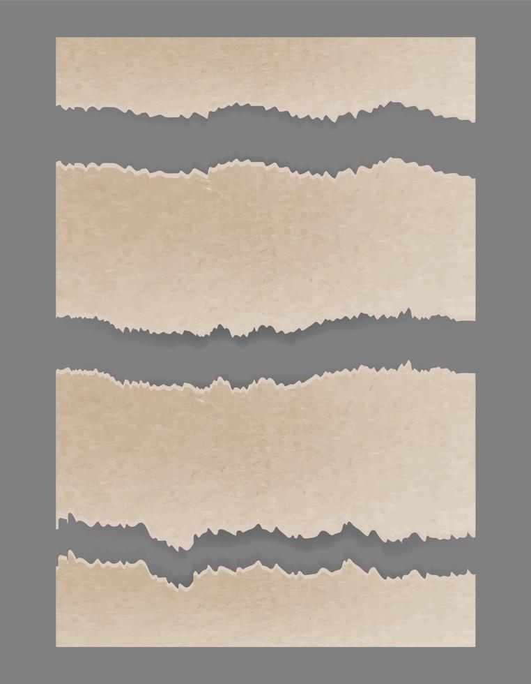 Torn ripped cardboard. Textured set vector