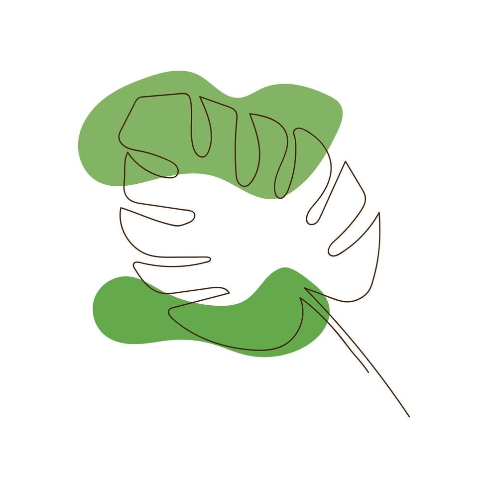 Hand drawn leaf, line art. vector