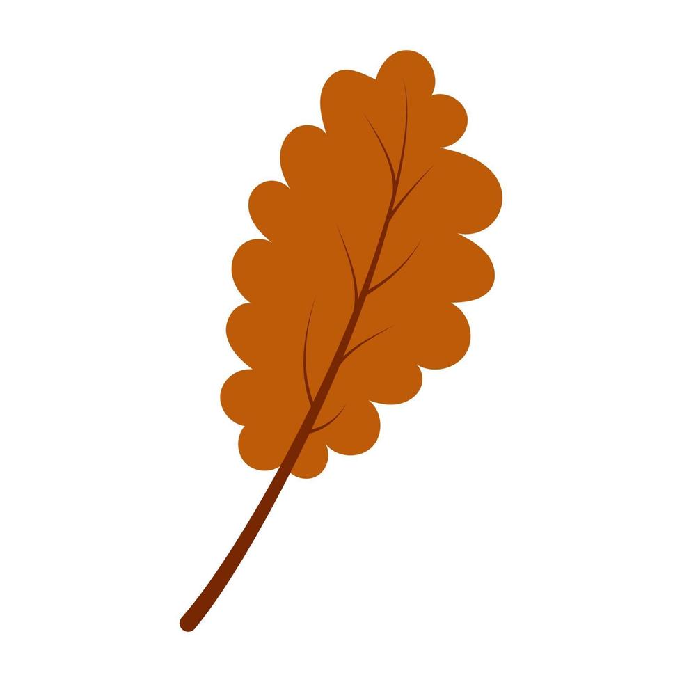 Hand drawn autumn oak leaf vector