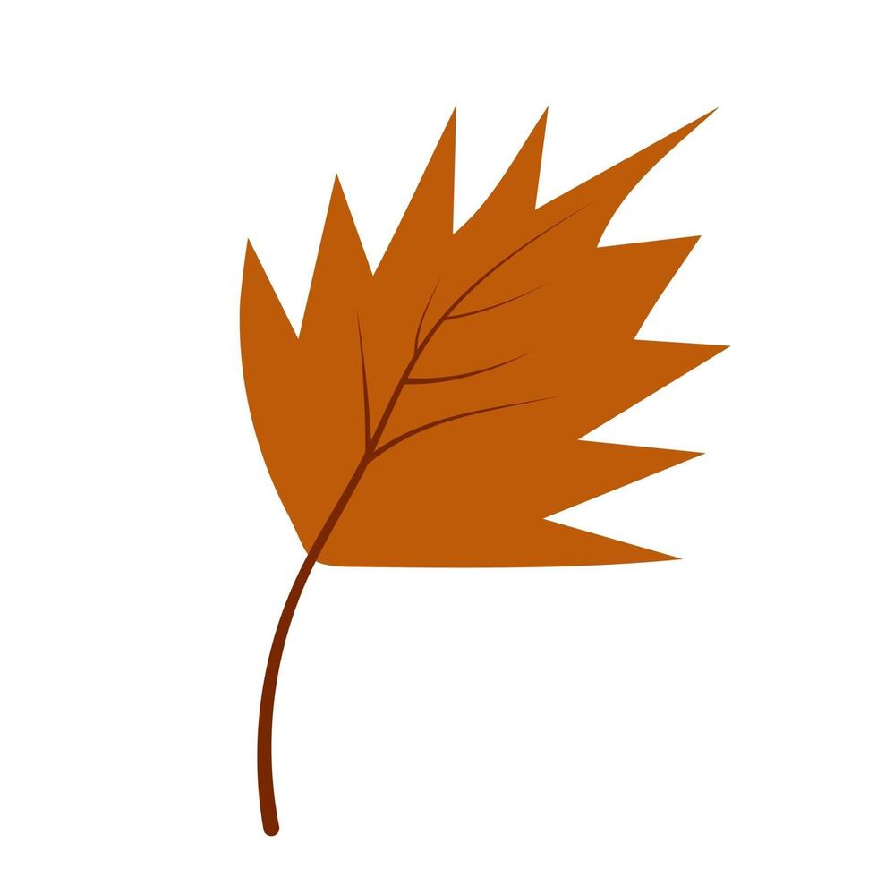 Autumn maple leaf in hand-drawn style vector