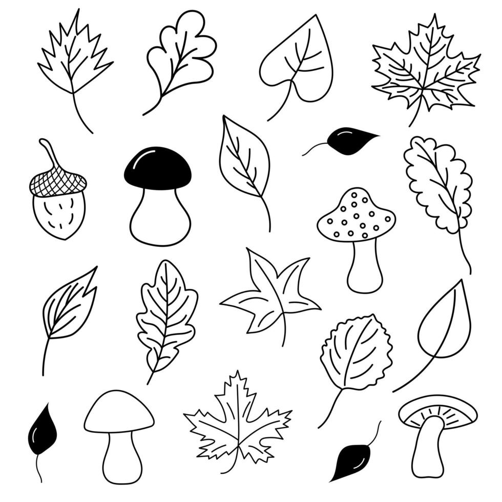 Autumn leaves, mushrooms and acorns in doodle style. vector