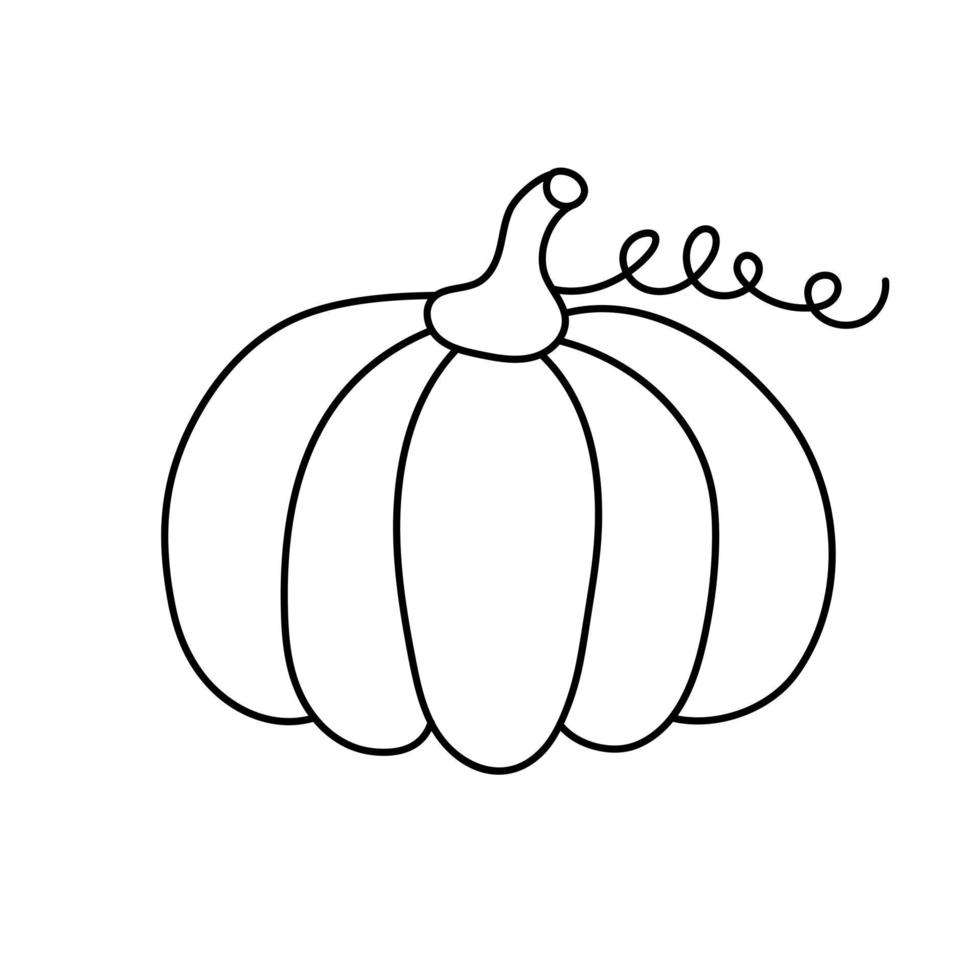 Hand drawn pumpkin in doodle style. vector