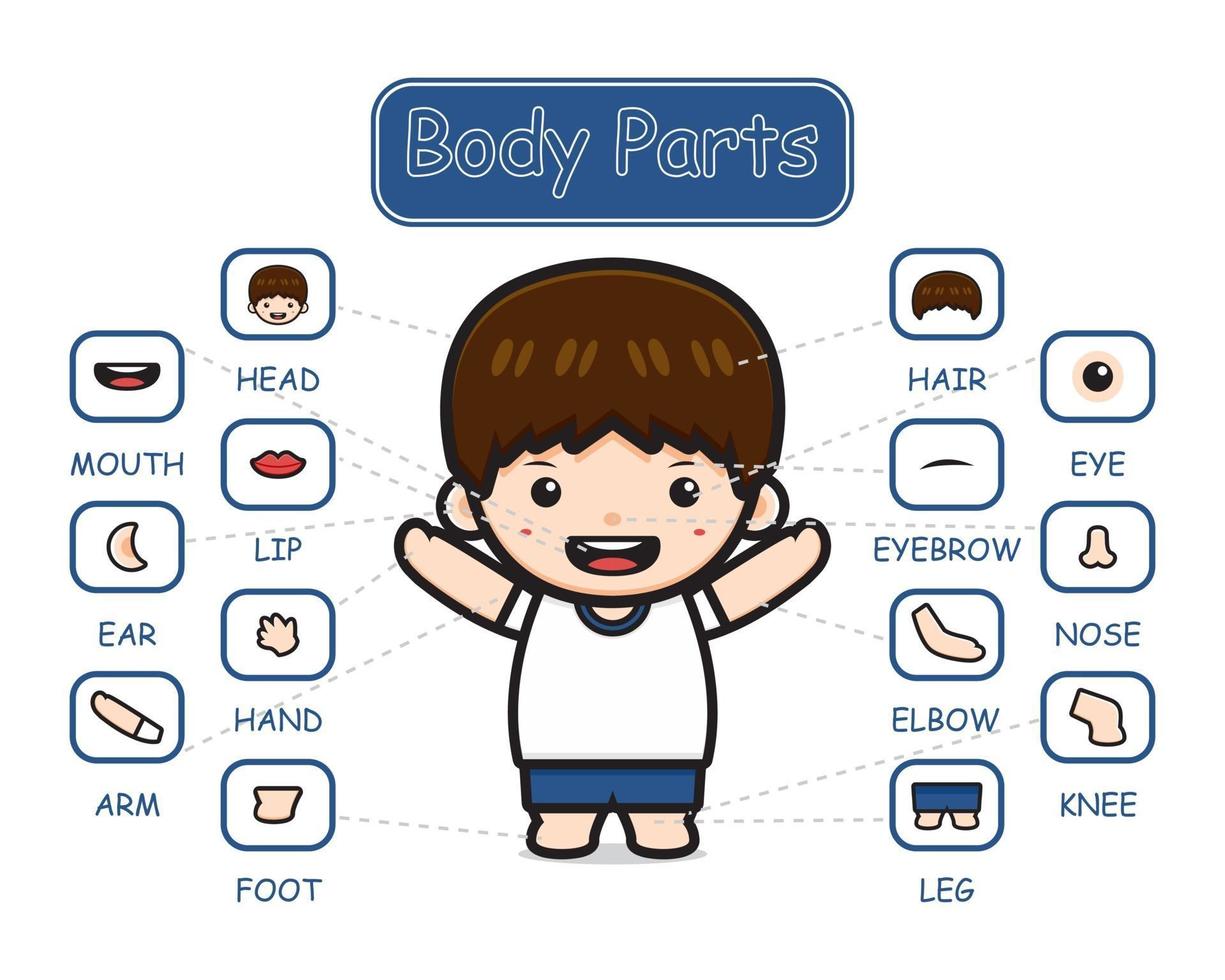 feliz, lindo, niño, niño, parte del cuerpo, anatomía, caricatura, icono, clipart, ilustración vector