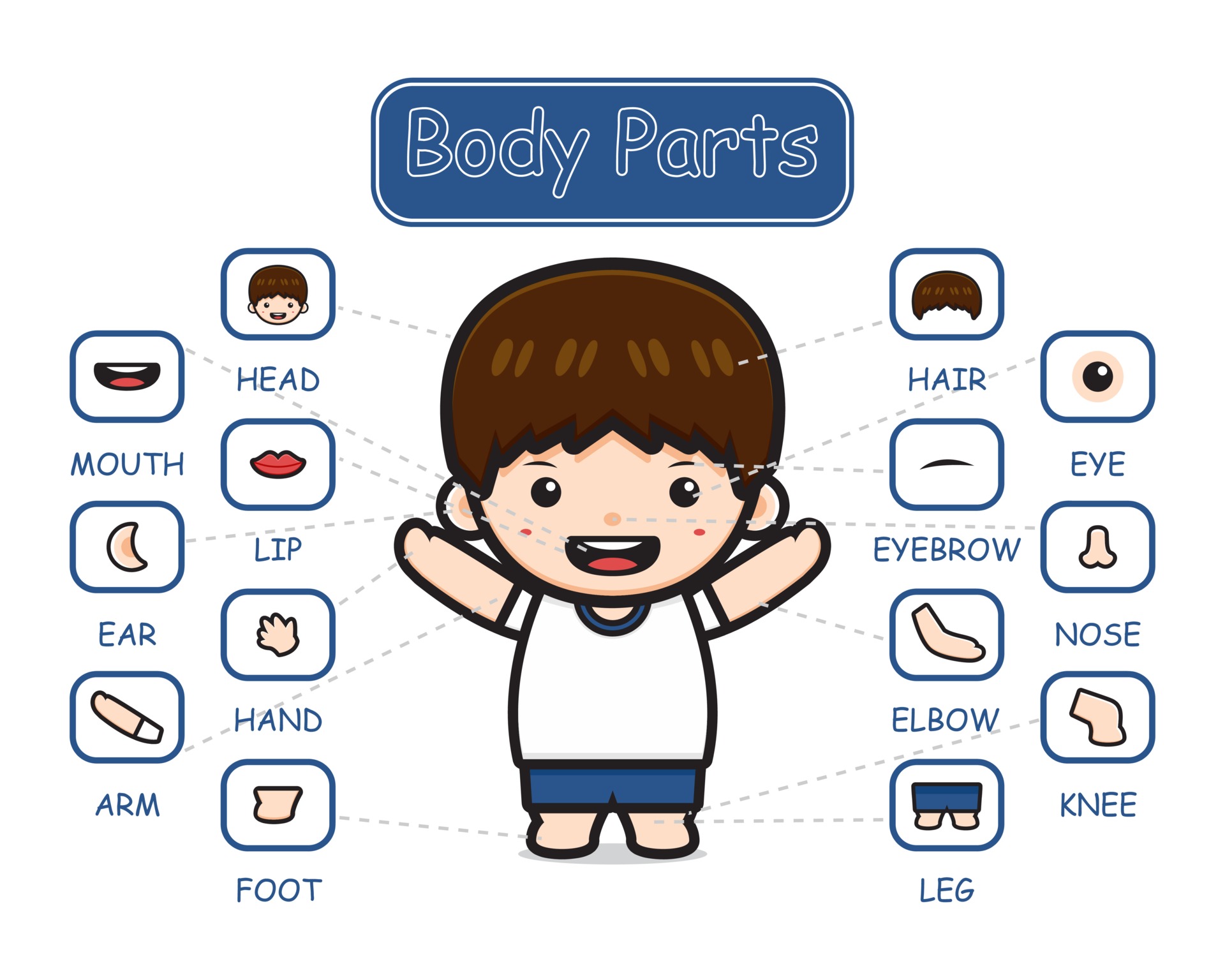 Happy cute kid boy body part anatomy cartoon icon clipart illustration  3366982 Vector Art at Vecteezy