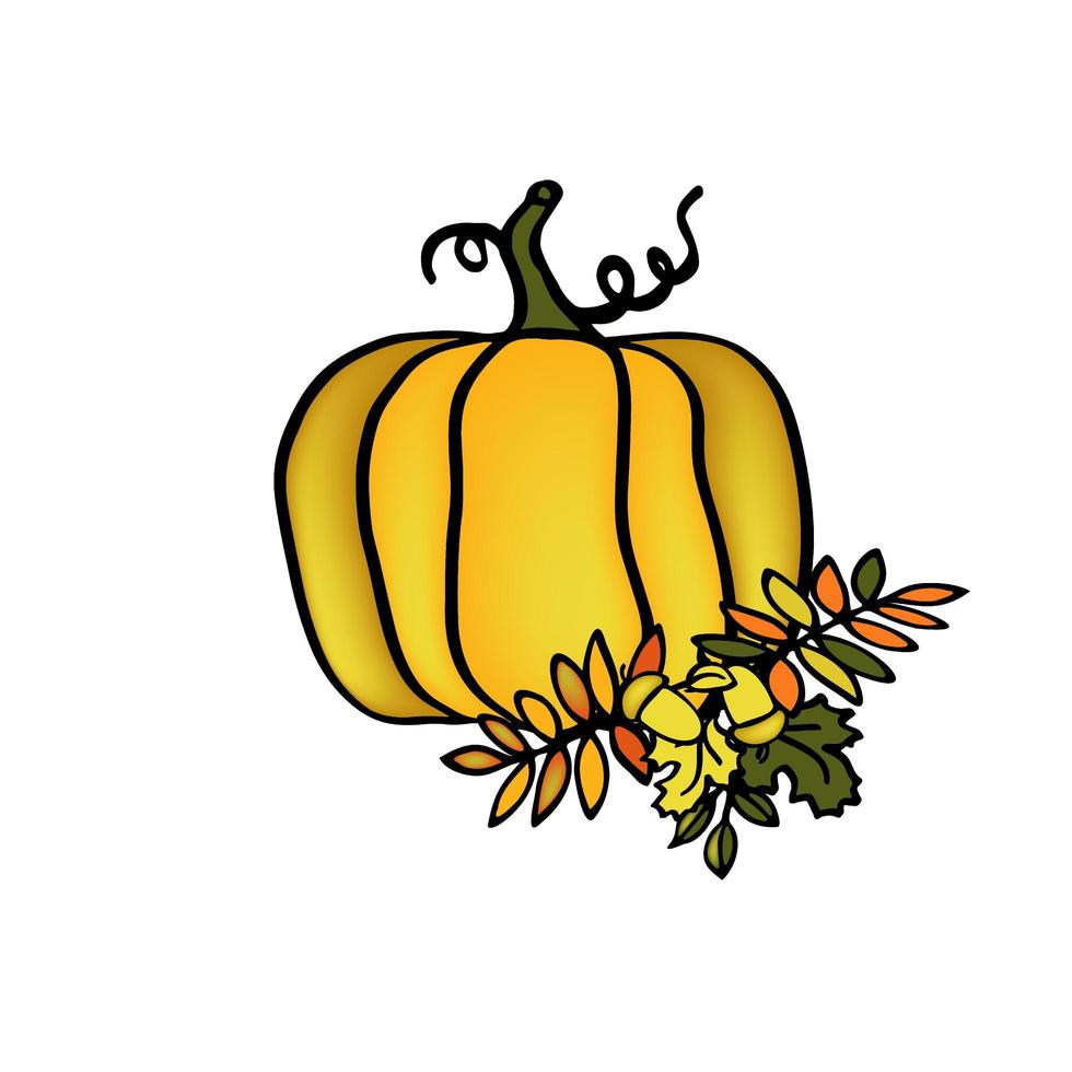 Ilustración de calabaza de otoño, aislar sobre fondo blanco. vector
