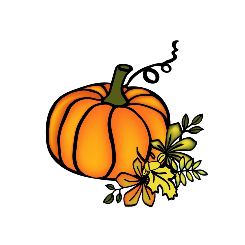 Fall pumkin ilustration, isolate hand drawn autumn decor vector