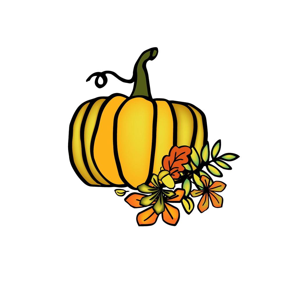 Autumn pumkin ilustration, isolate on white background vector