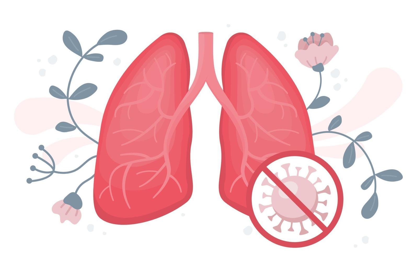 Healthy human lungs without coronavirus or covid vector