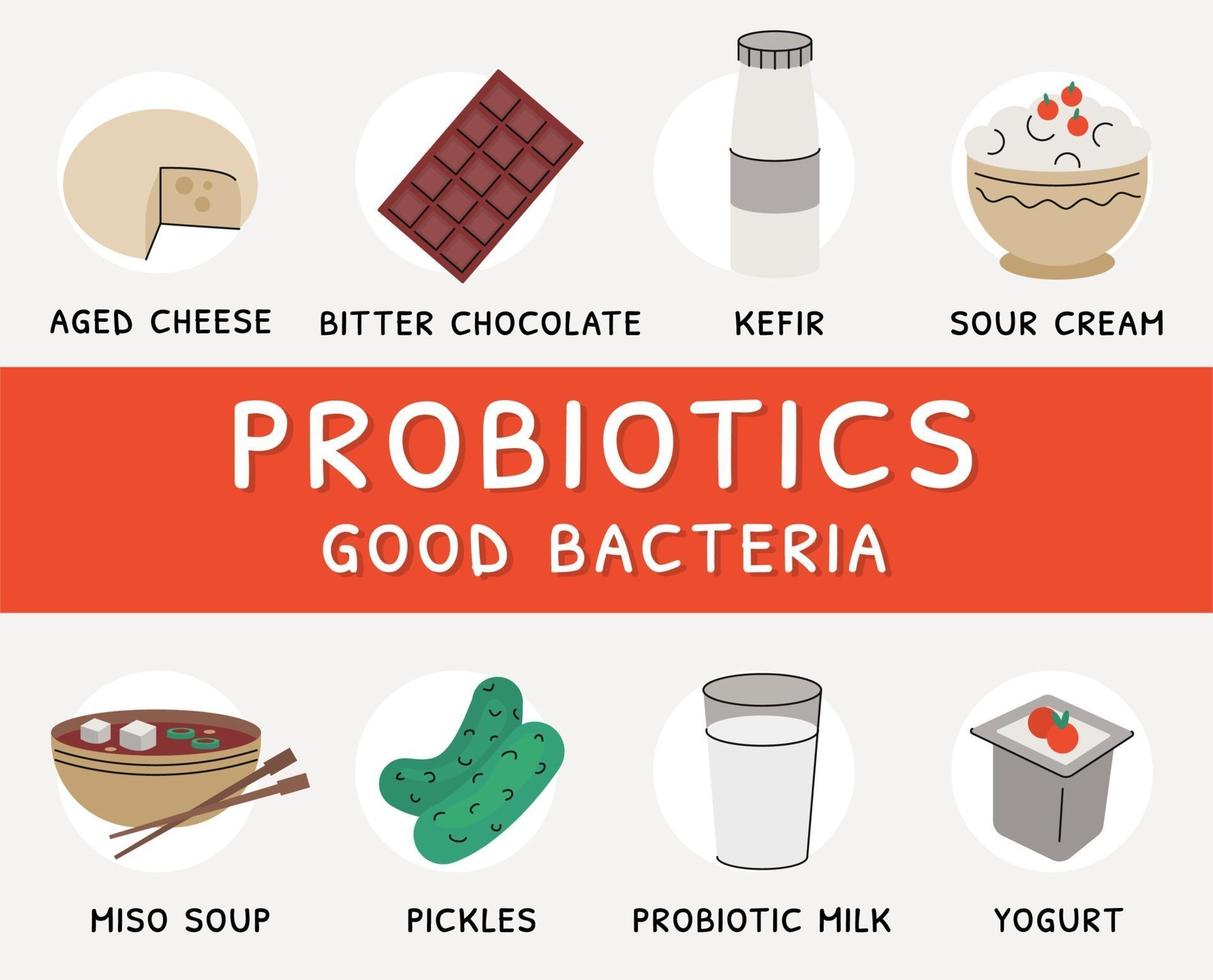 Sources of probiotic bacteria products flat vector