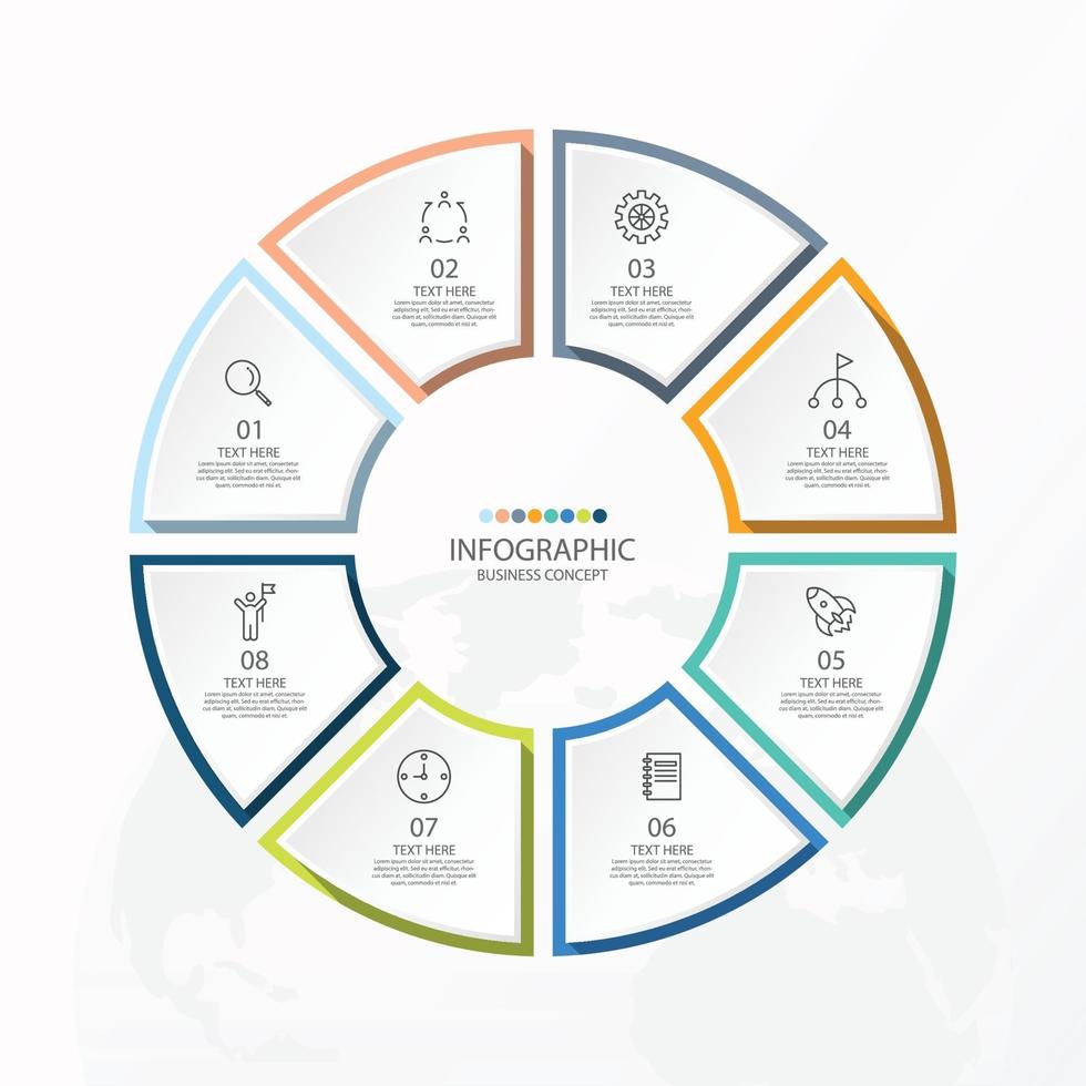 Basic circle infographic template with 8 steps vector