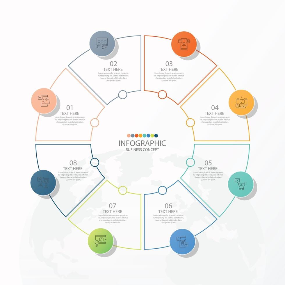 Basic circle infographic template with 8 steps vector