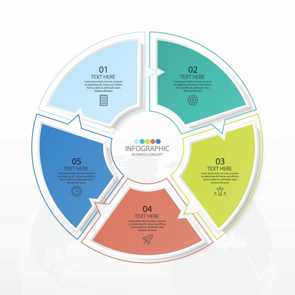 Basic circle infographic template with 5 steps vector