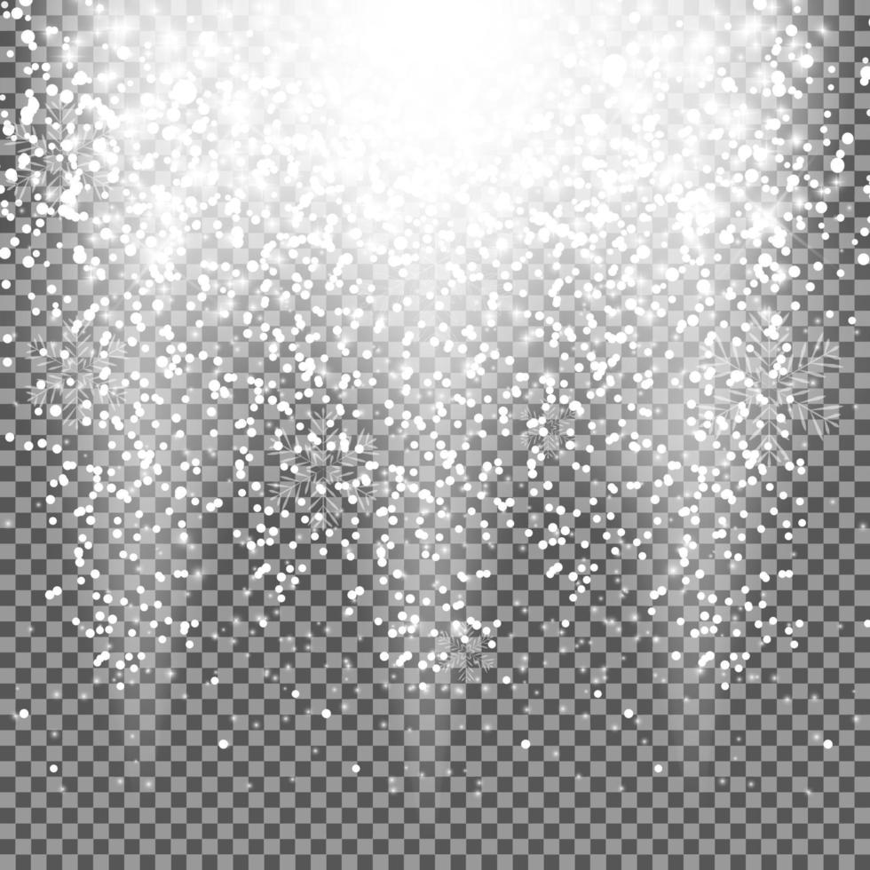 Falling Shining Snowflakes vector