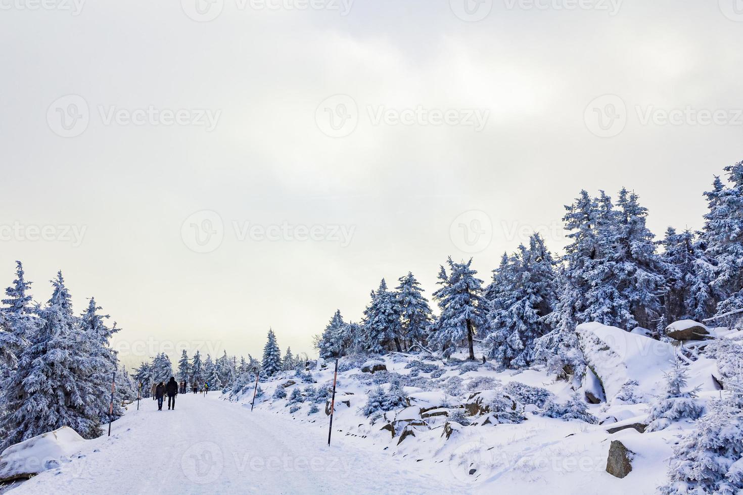 excursionistas personas en nevado en el paisaje montañas brocken harz alemania. foto