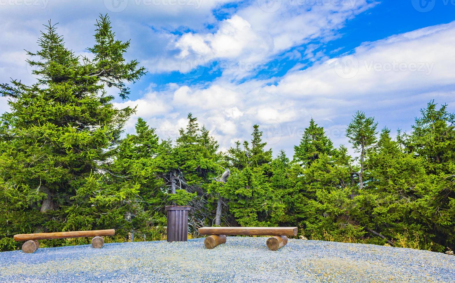 Forest with benches and trees Brocken mountain peak Harz Germany photo